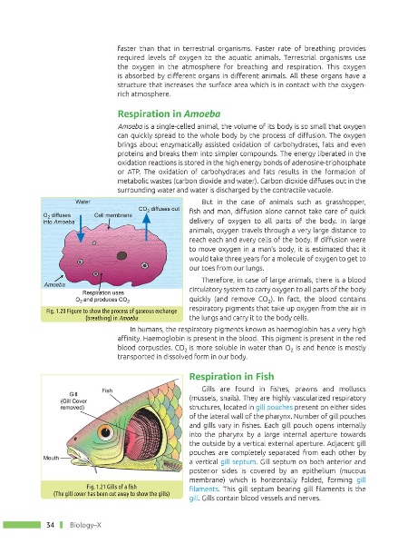 Books of Biology | Page No 1 | VK Global Publications